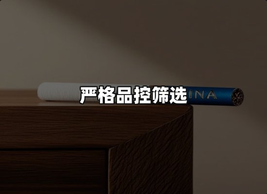 专业优势